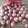 Export Standard Quality of Fresh Red Onion 5-7cm